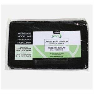 Argilla Senza Cottura 15Kg Nera