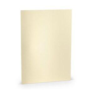 Cartoncino Perlato 250gr