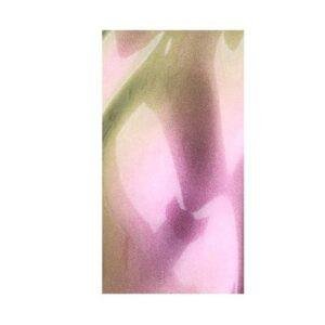 Chameleon Pigmenti 15 Gr Green Golden Red K0308