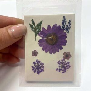 Fiori Secchi Naturali Pressati 45