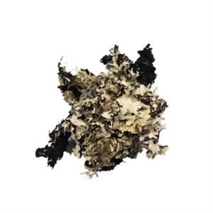 Materiali Naturali Muschio Naturale 5Gr