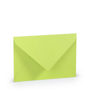 Paperado Papier Busta B6 Foderata 125X176 5 Pz Verde Primavera