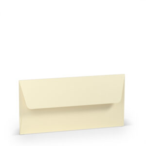 Paperado Papier Busta Dl Foderata 11X22 5 Pz Camoscio