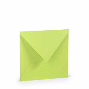 Paperado Papier Busta Foderata 164X164 5Pz Verde Primavera