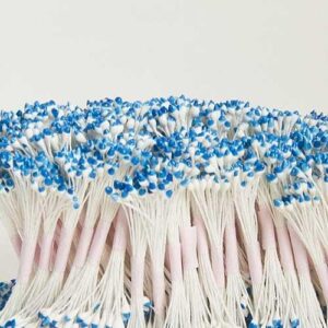 Pistilli 2 3mm 200 Teste Circa Azzurro Bianco 622302