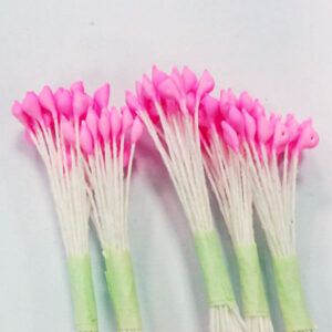 Pistilli 2 3mm 200 Teste Circa Fucsia 622300