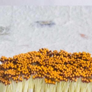 Pistilli 2 4mm 200 Teste Circa Testa Goccia Gialla Marrone 