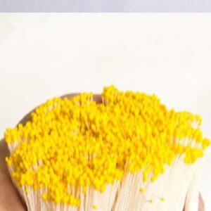 Pistilli Mini 200 Teste Circa Testa Tonda Gialla