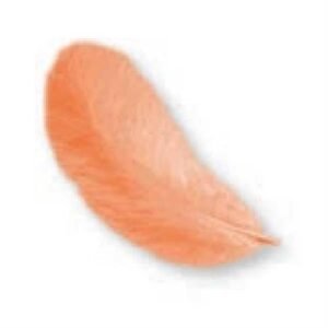 Piume Marabu 12Cm 15Pz Arancio 781