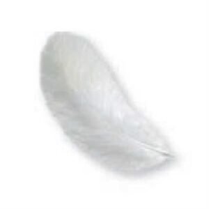 Piume Marabu 12Cm 15Pz Bianco 781