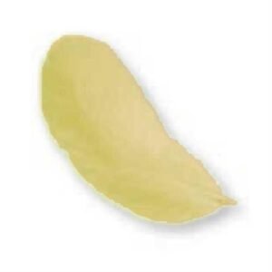 Piume Marabu 12Cm 15Pz Giallo 781