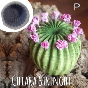 Stampi Piante Grasse Chiara Stringhi Cactus Alto P P