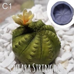 Stampi Piante Grasse Chiara Stringhi Cactus C1 C1