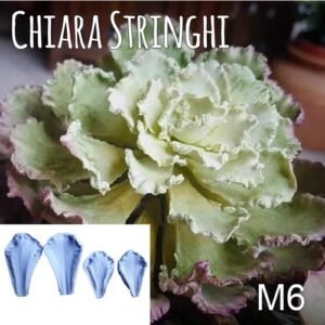 Stampi Piante Grasse Chiara Stringhi Echeveria Riccia M6