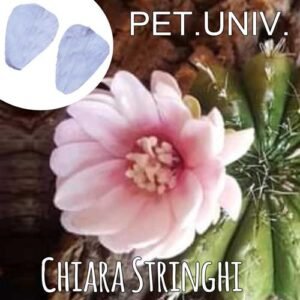 Stampi Piante Grasse Chiara Stringhi Petalo Universale PET.UNIV