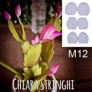 Stampi Piante Grasse Chiara Stringhi Schlumbergera M12