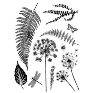 Timbro Alta Definizione Caucciu Cm.14X18 Foglia Felce WTKCC66