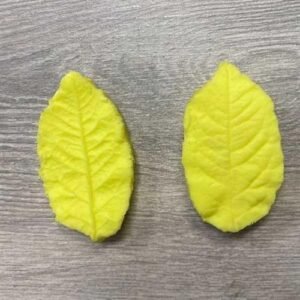 Venatore Agrifoglio PEVE11