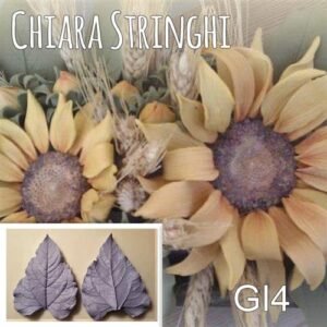Venatore Chiara Stringhi Girasole Foglia Grande GI4
