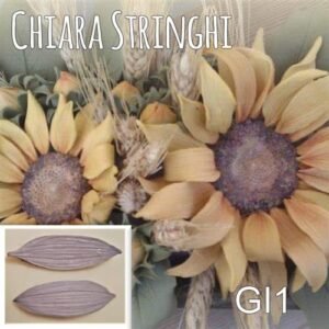 Venatore Chiara Stringhi Girasole Petalo GI1