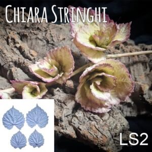 Venatore Chiara Stringhi Luppolo Selvatico Ls 2 Cuore LS2