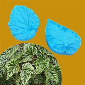 Venatore Foglia Begonia PEVE08