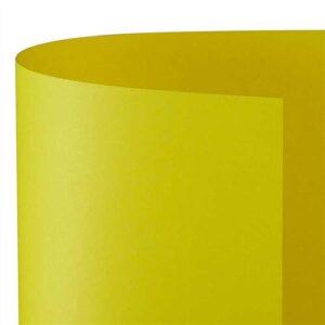 Cartoncino A4 200gr 10 Fg Giallo Sole Fv53