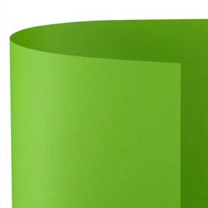 Cartoncino A4 200gr 10 Fg Pistacchio Fv54