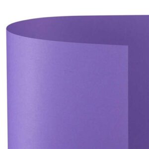 Cartoncino A4 200gr 10 Fg Violetto Fv49