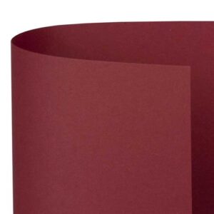 Cartoncino Naturale A4 250gr 10fg Cherry A69c004