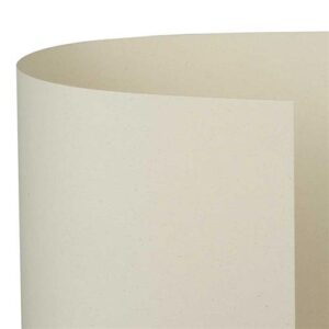 Cartoncino Naturale A4 250gr 10fg Citrus A69q004