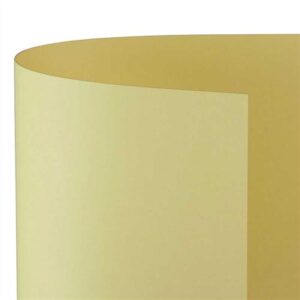 Cartoncino Pastello A4 200gr 10 Fg Camoscio Fv02