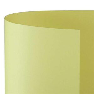 Cartoncino Pastello A4 200gr 10 Fg Giallo Chiaro Fv07