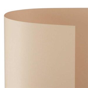 Cartoncino Pastello A4 200gr 10 Fg Salmone Fv05