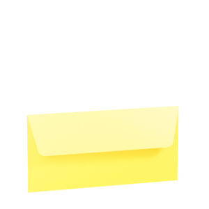 Paperado Papier Busta Dl Foderata 11x22 5 Pz Giallo Soleil 5537