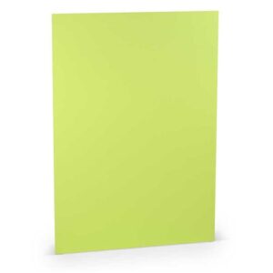 Paperado Papier Cartoncino A4 160gr Verde Primavera 5601
