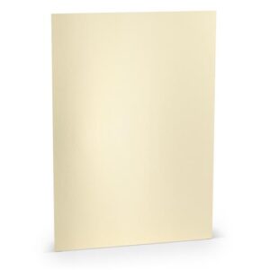 Paperado Papier Cartoncino A4 250gr 5pz Metallico Avorio 5603