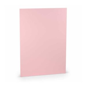 Paperado Papier Foglio A4 100gr 10pz Flamingo 164001123