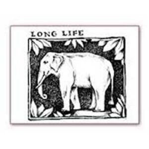 Timbri Clear Stamps 5x7 Long Life Wtk018