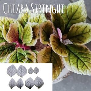 Venatore Chiara Stringhi Incenso